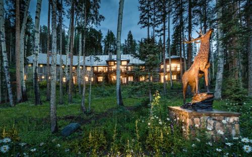 Twin Elk by Exceptional Stays in Telluride