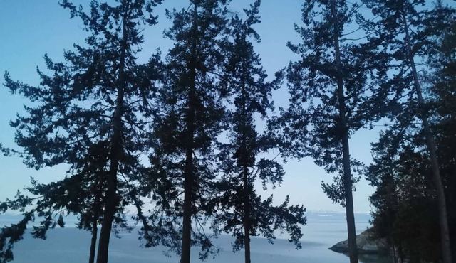 U1 Seaside Serenity: Seal Bay Glamping Retreat in Powell River