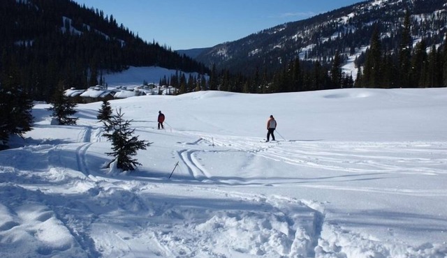 Winter Wonderland True Ski in and Ski Out Peaks Condo!