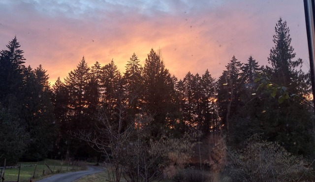 Yellow Point Country Acres Central Vancouver Island Adventures BnB