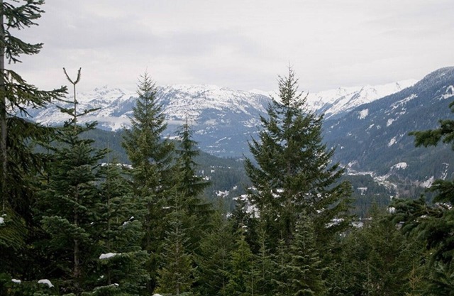 Taluswood 