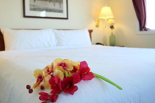 Nomad Hotel 