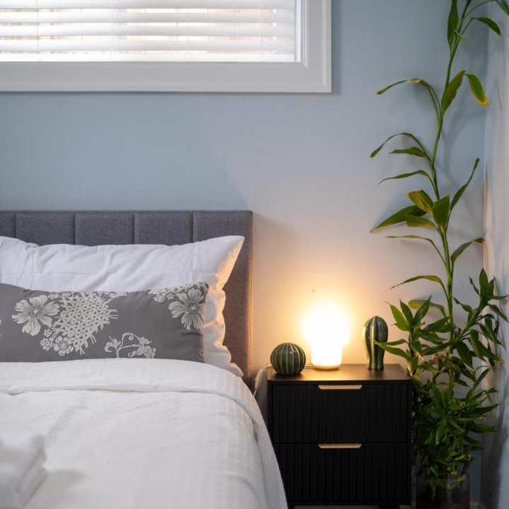 Renfrew-Collingwood Apartment | 2 bedroom suite Walk to SkyTrain, Grocery, Macdonald & more