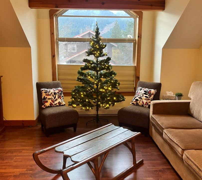Pemberton Apartment | Mountainview 1 bedroom suite, king bed, walk to Village, WIFI, parking, ski & bike storage, lake & beach nearby, Joffre Lakes, golfing, horseback riding, biking, hiking, canoeing, jet boating, Nairn Falls, Beer Farmers & North Arm Farm
