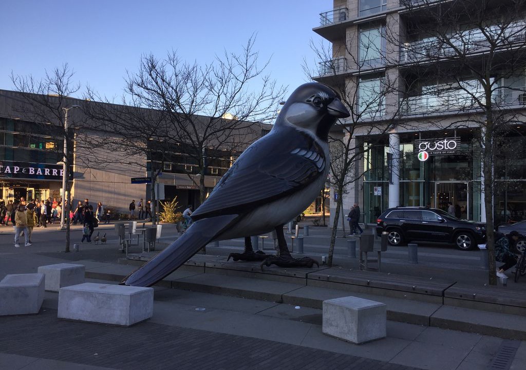 Photo of Others in Southeast False Creek