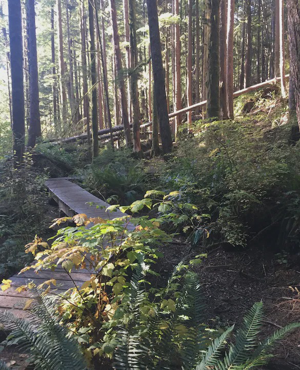Photo of Others in Port Renfrew