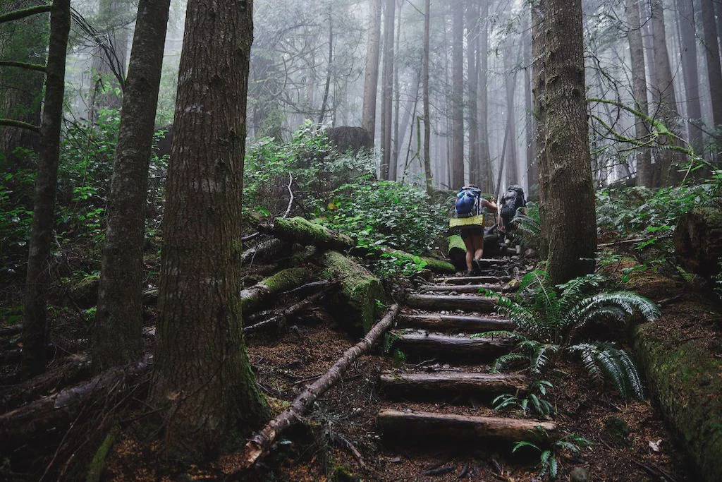 Photo of Others in Port Renfrew