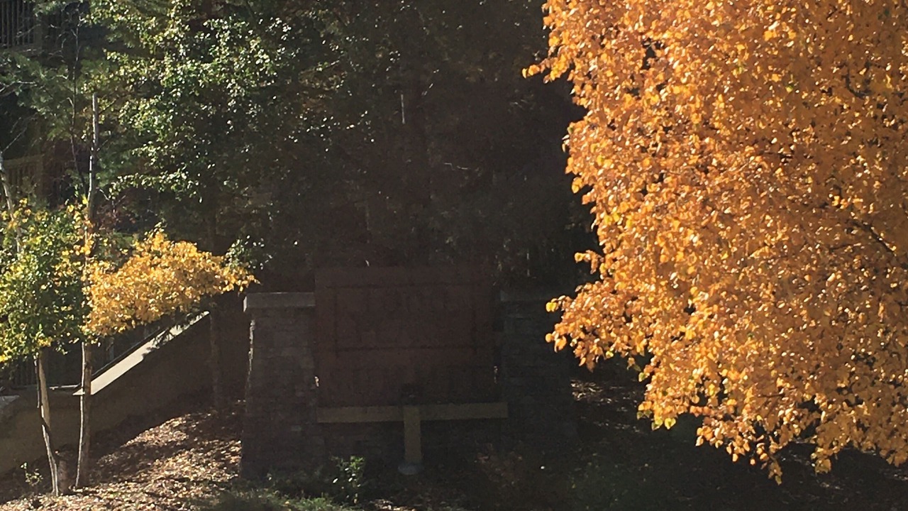 Photo of Outdoor in Panorama