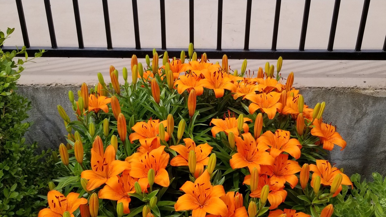 Photo of Outdoor in Osoyoos