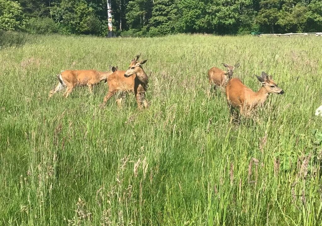 Photo of Outdoor in Fairfield