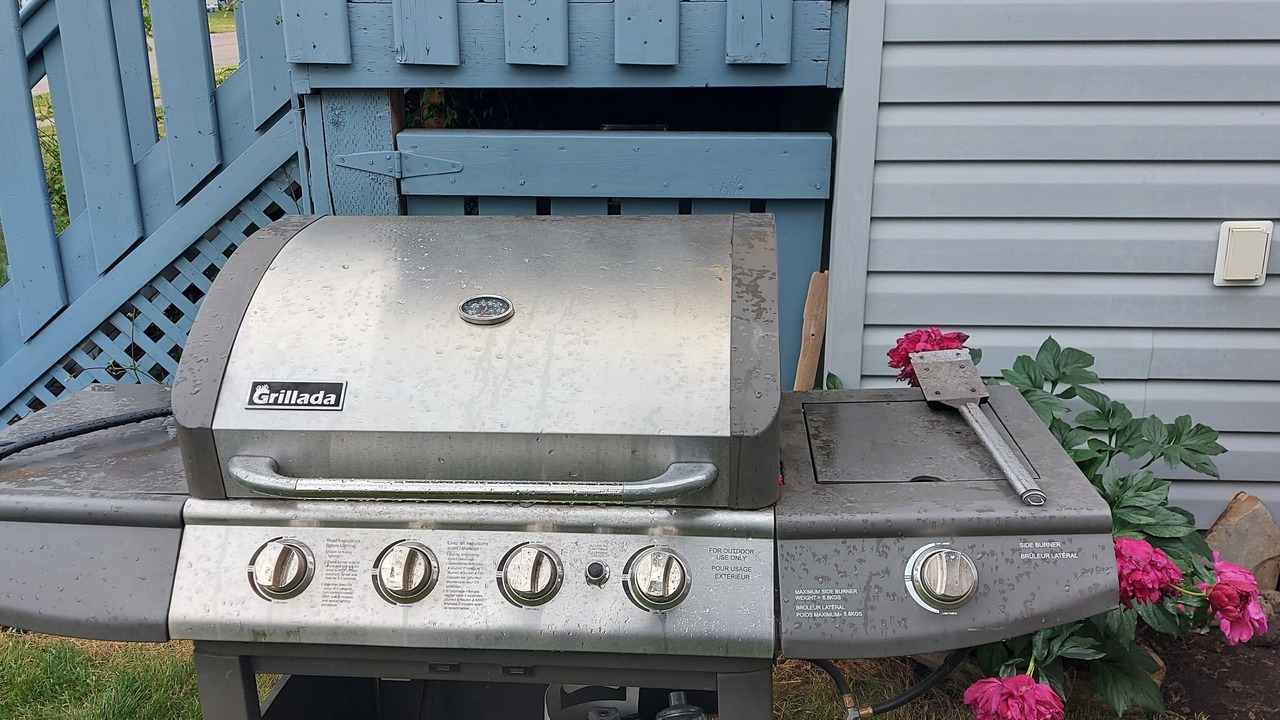 Photo of Outdoor in Grande Prairie