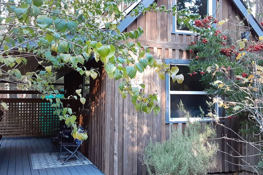 Photo of Outdoor in Mayne Island