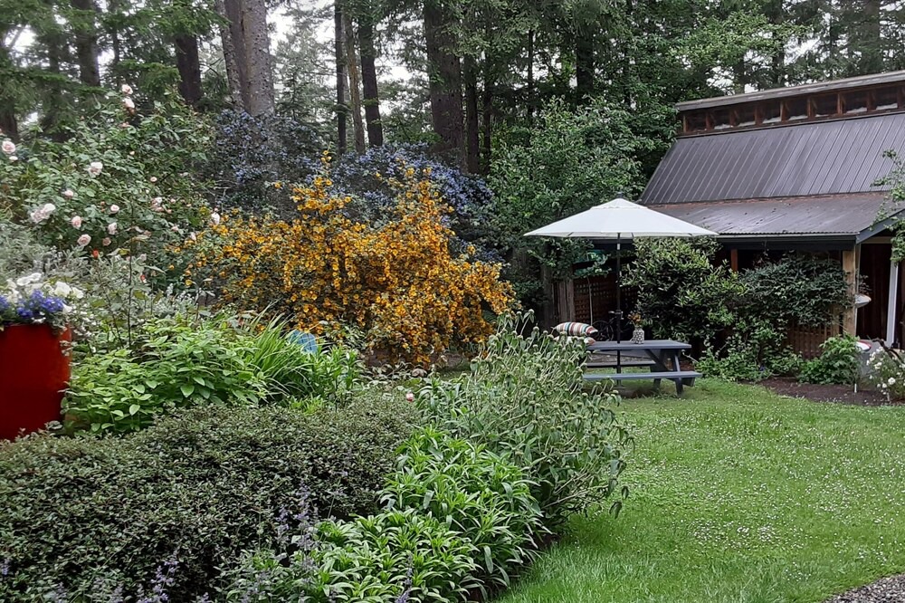 Photo of Outdoor in Mayne Island