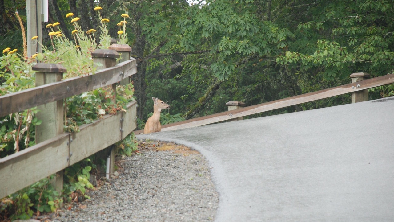 Photo of Outdoor in Pender Island