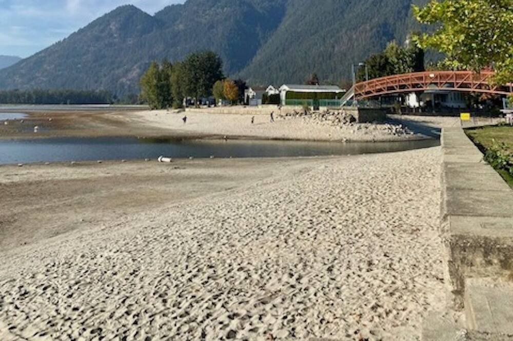 Photo of Others in Sicamous