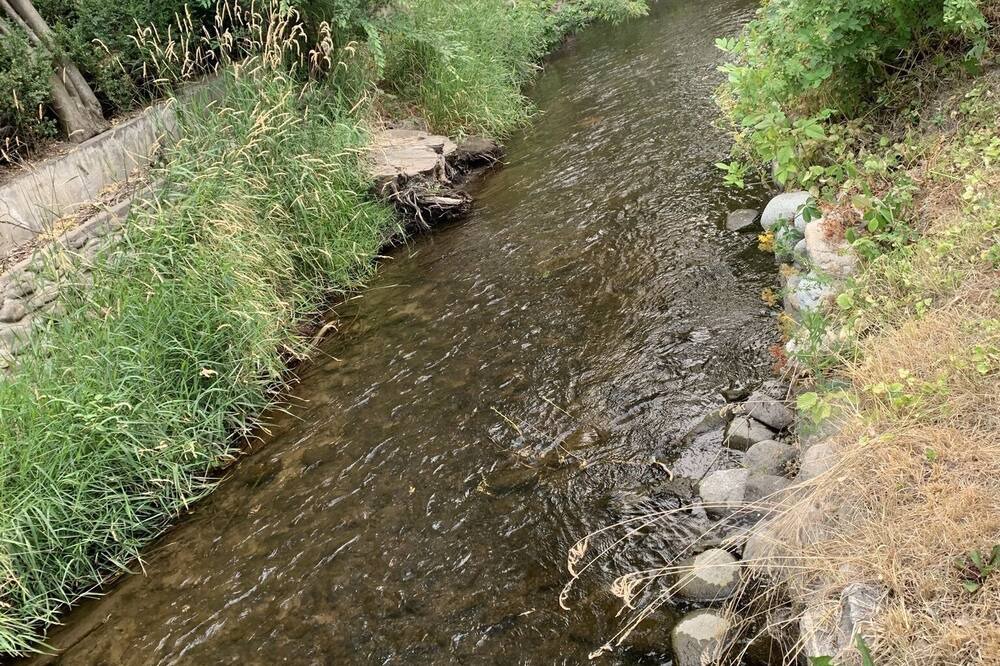 Photo of Outdoor in South Central