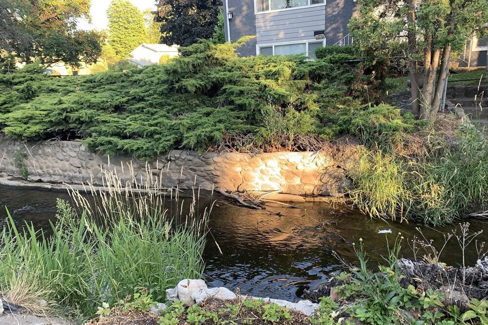 Photo of Outdoor in South Central