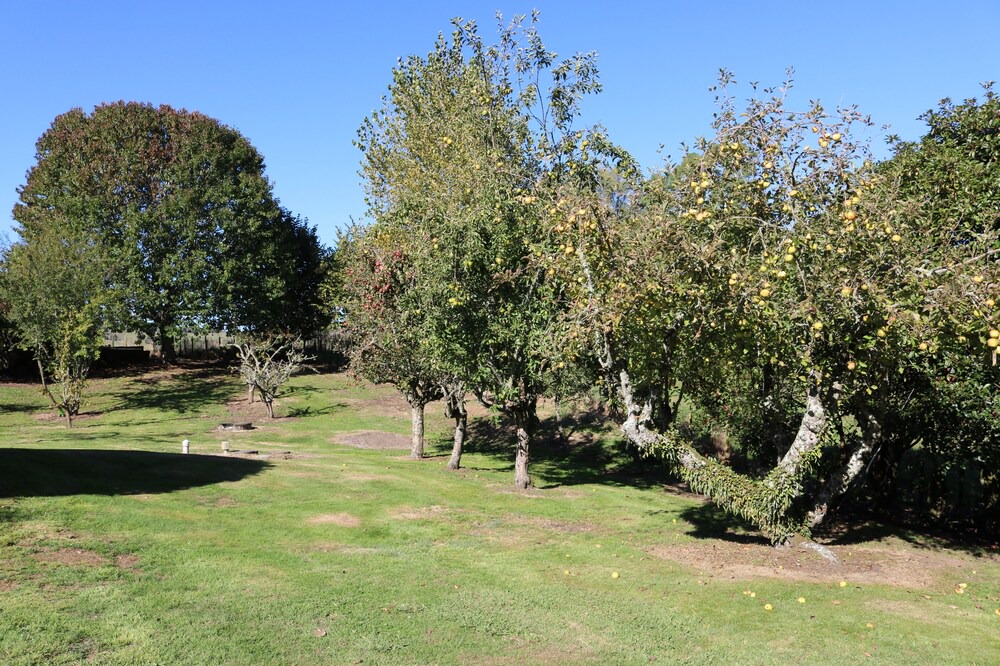 Photo of Outdoor in Taumarunui