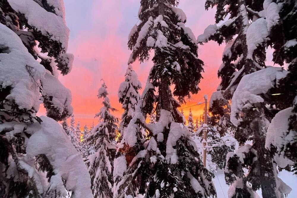 Photo of Outdoor in Courtenay