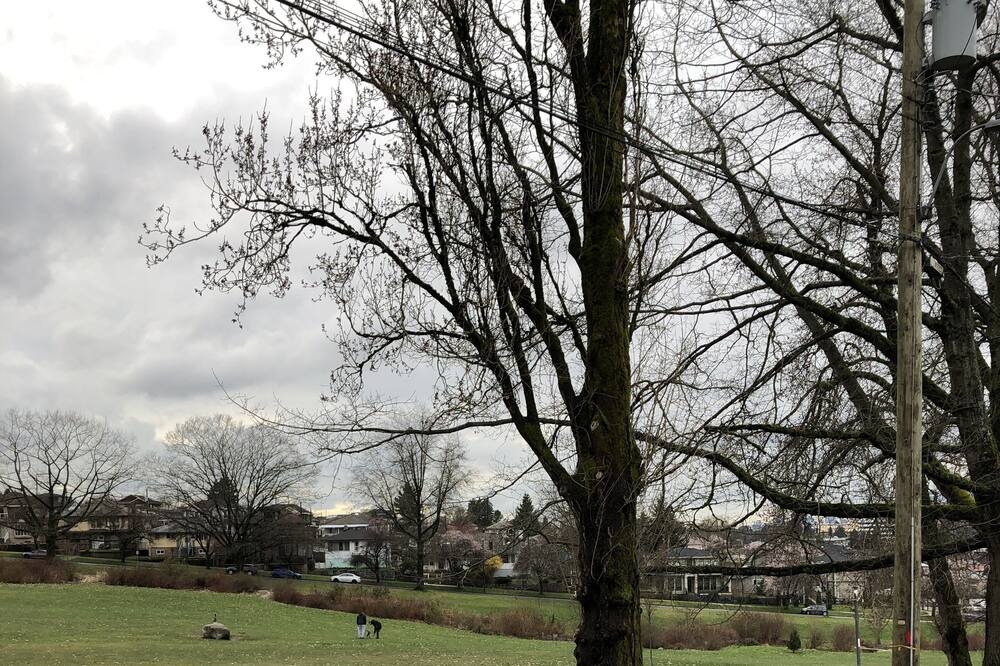 Photo of Others in Renfrew-Collingwood