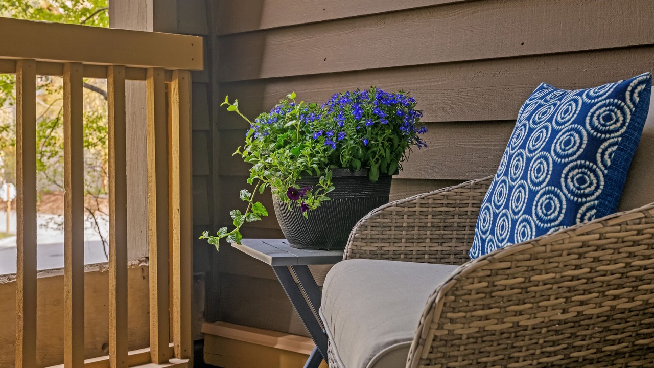 Photo of Patio Balcony in Panorama