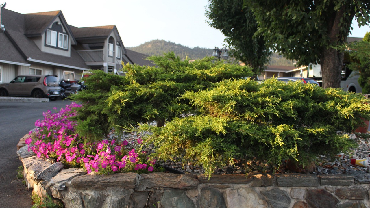 Photo of Outdoor in Valleyview