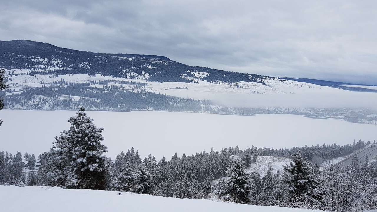 Photo of Others in Central Okanagan