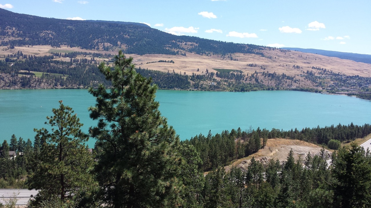 Photo of Others in Central Okanagan