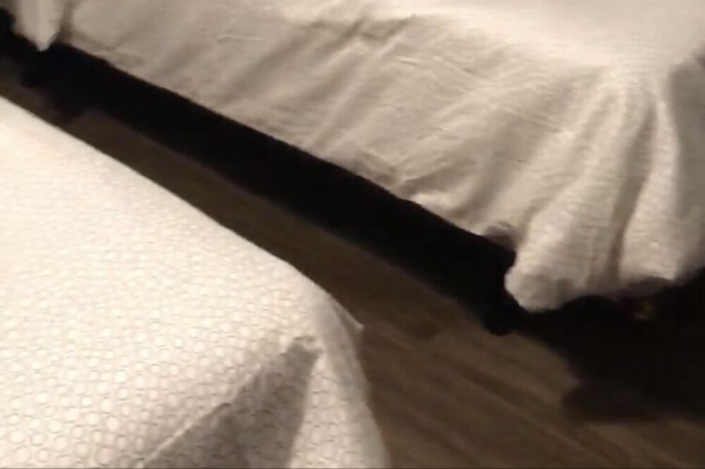 Photo of Bedroom in Sicamous