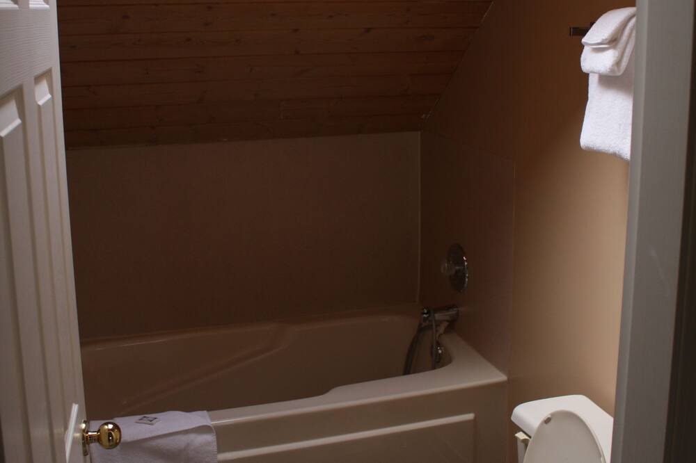 Photo of Bathroom in Silver Star Mountain
