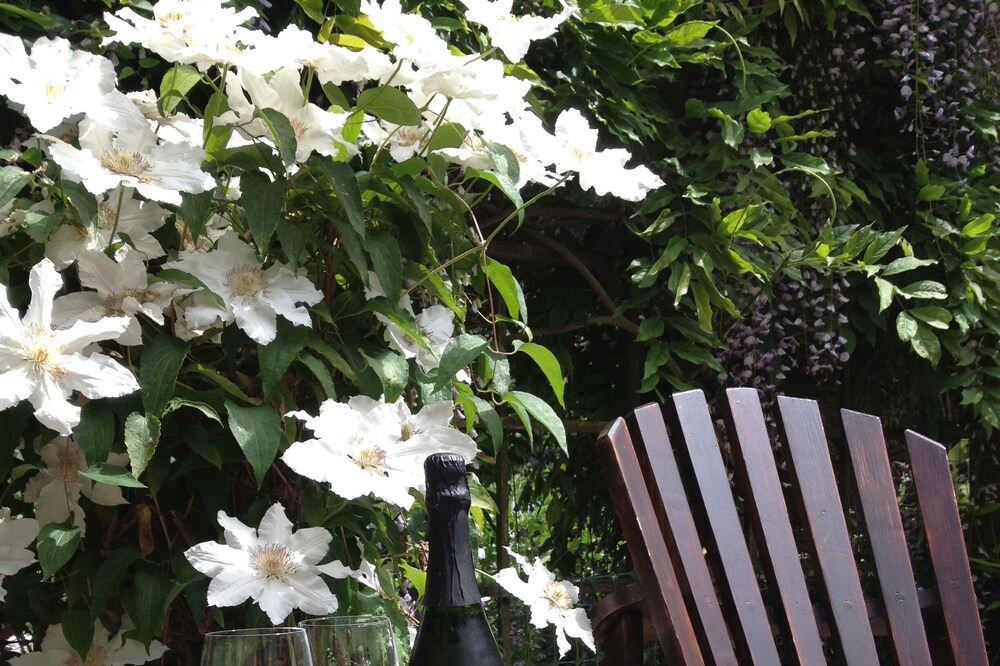 Photo of Outdoor in Cobble Hill