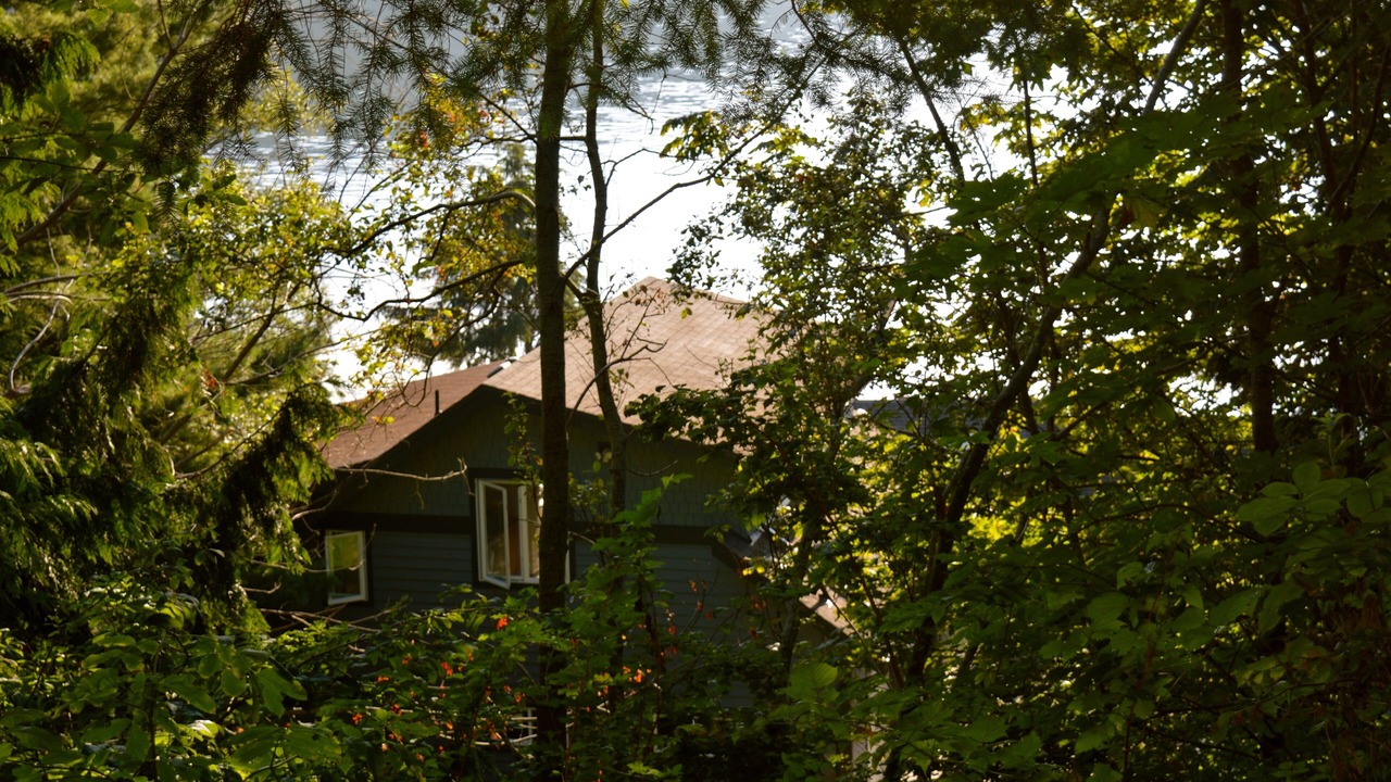 Photo of Outdoor in Halfmoon Bay