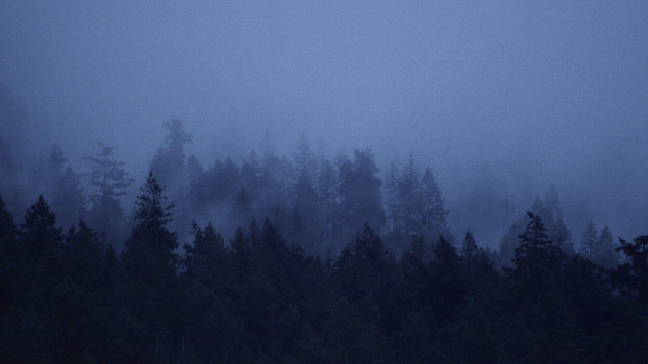 Photo of Others in Halfmoon Bay