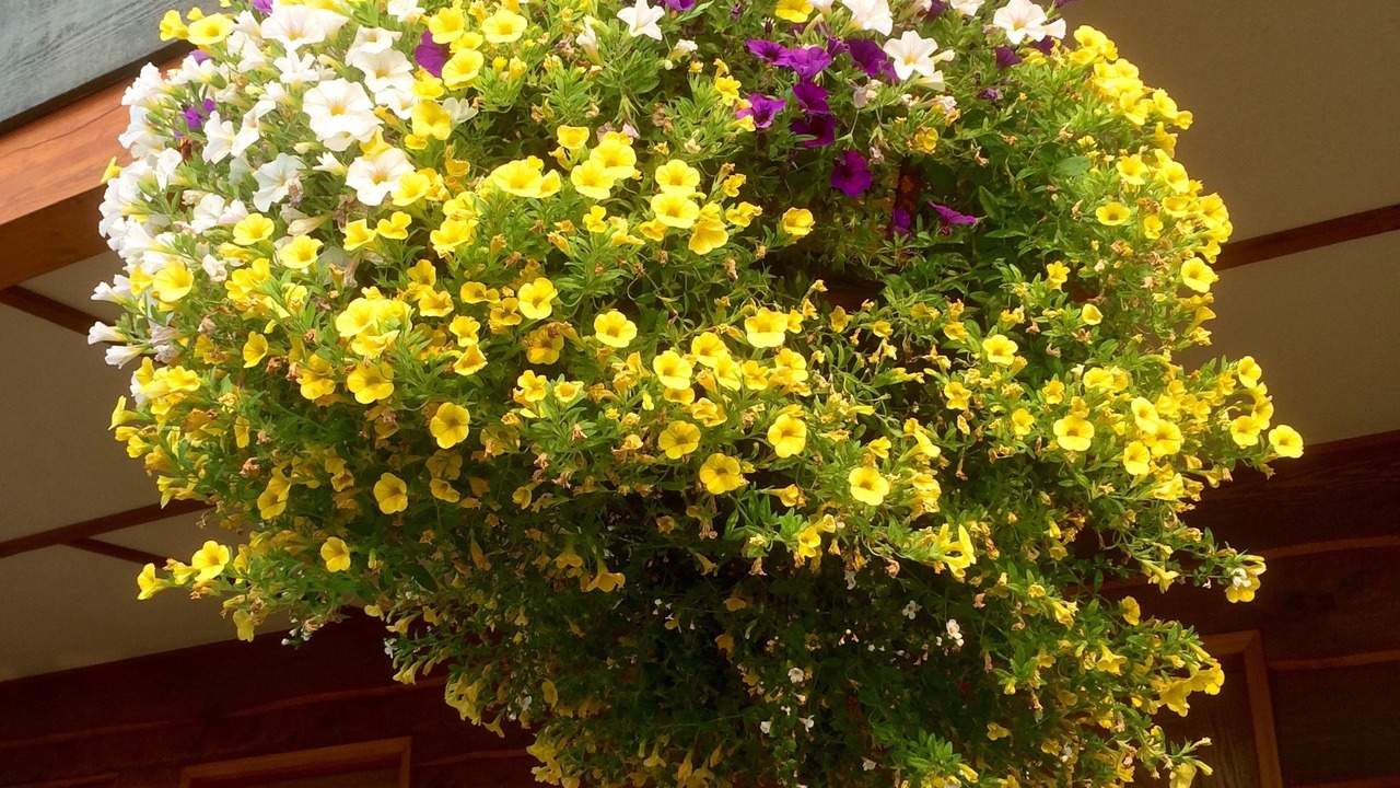 Photo of Outdoor in Clinton