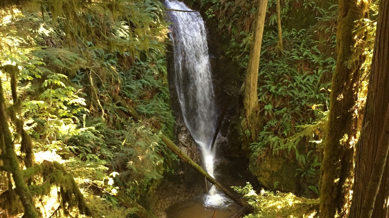 Photo of Outdoor in Tuwanek