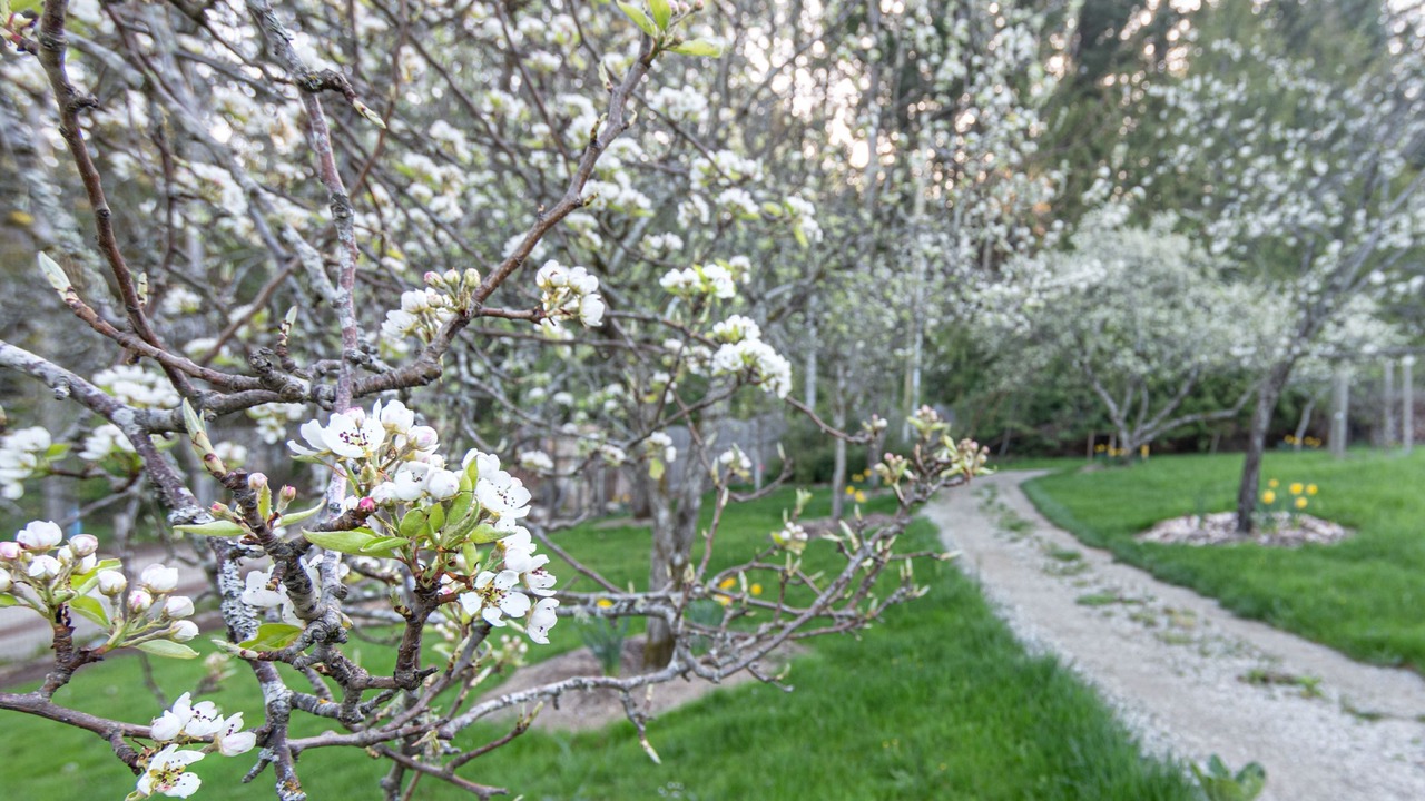 Photo of Outdoor in Salt Spring Island