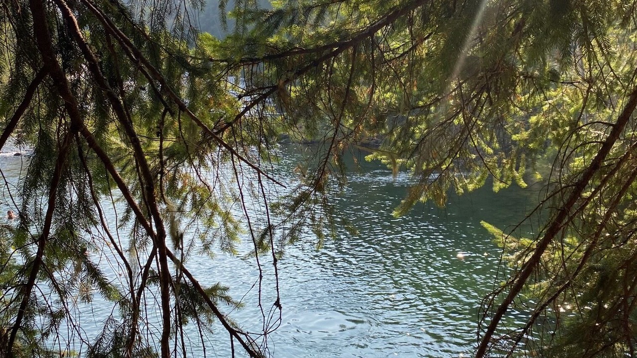 Photo of Others in Courtenay