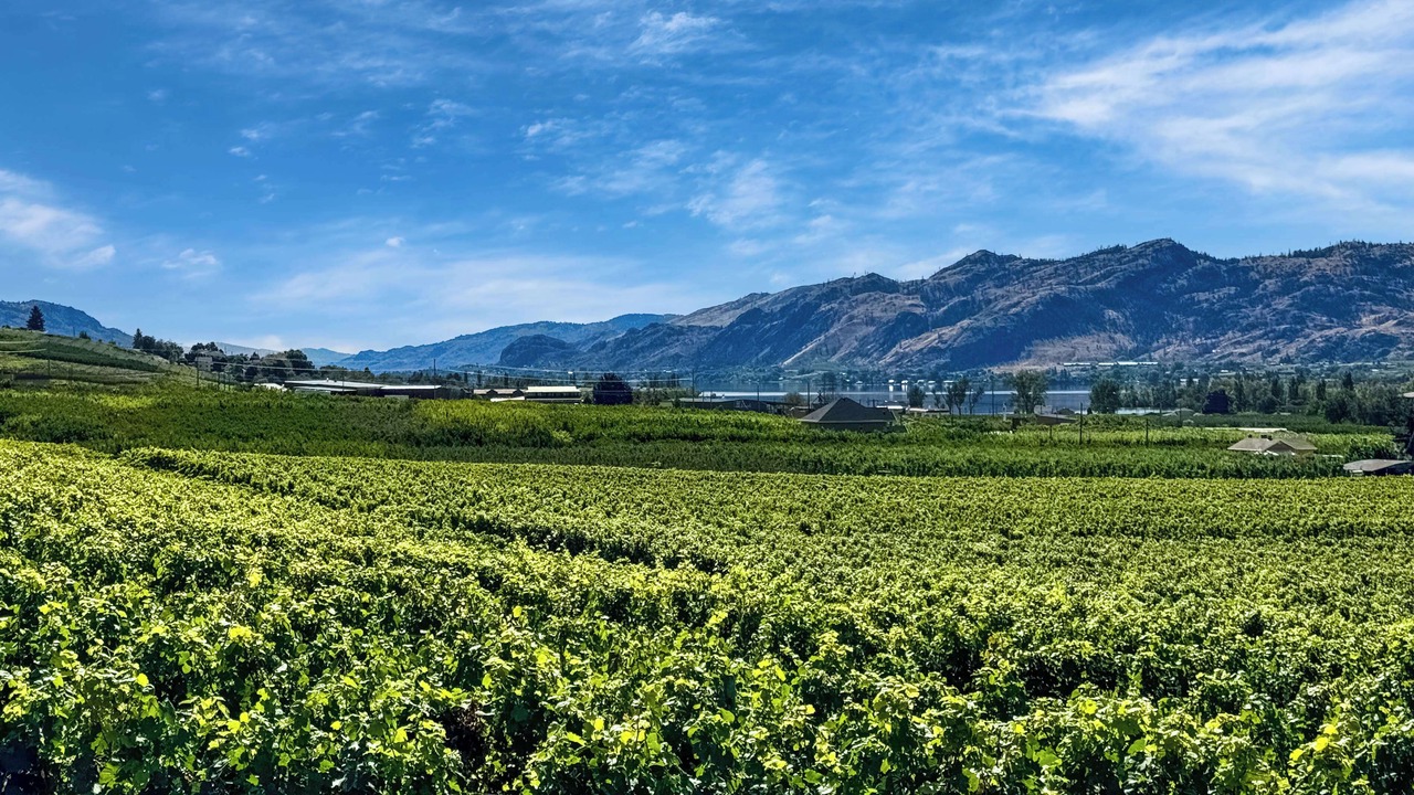 Photo of Others in Osoyoos
