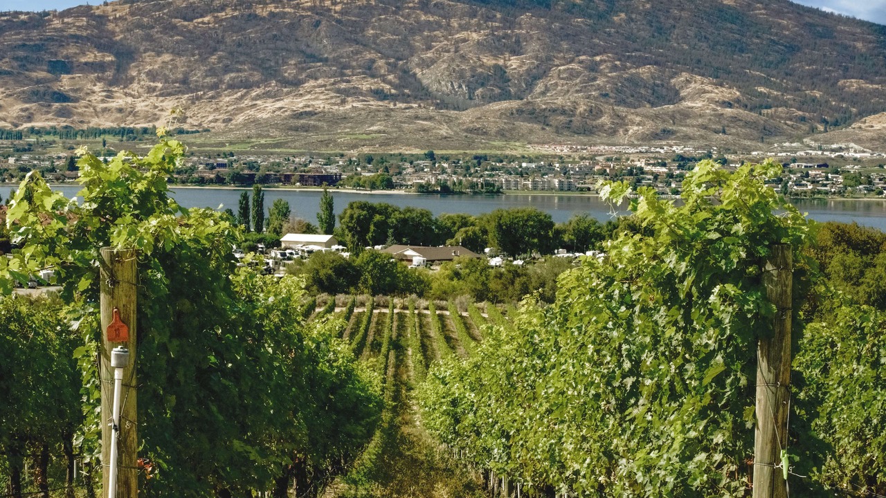 Photo of Others in Osoyoos