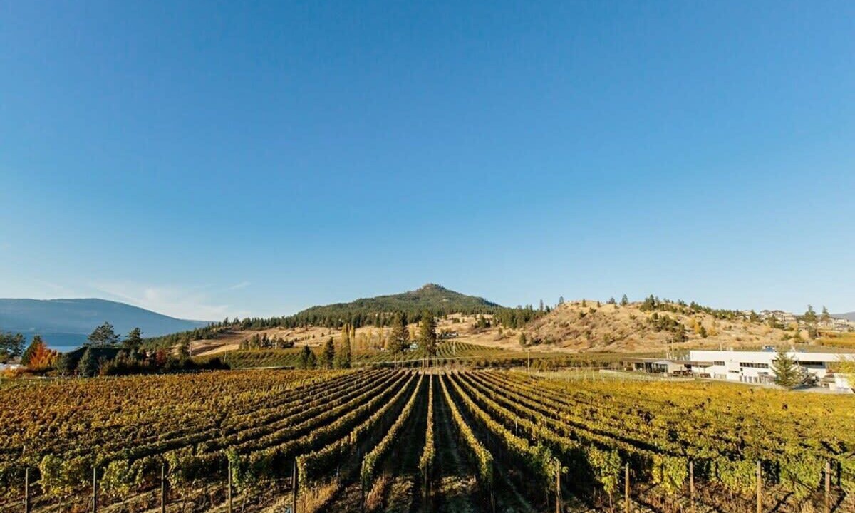 Photo of Outdoor in Central Okanagan