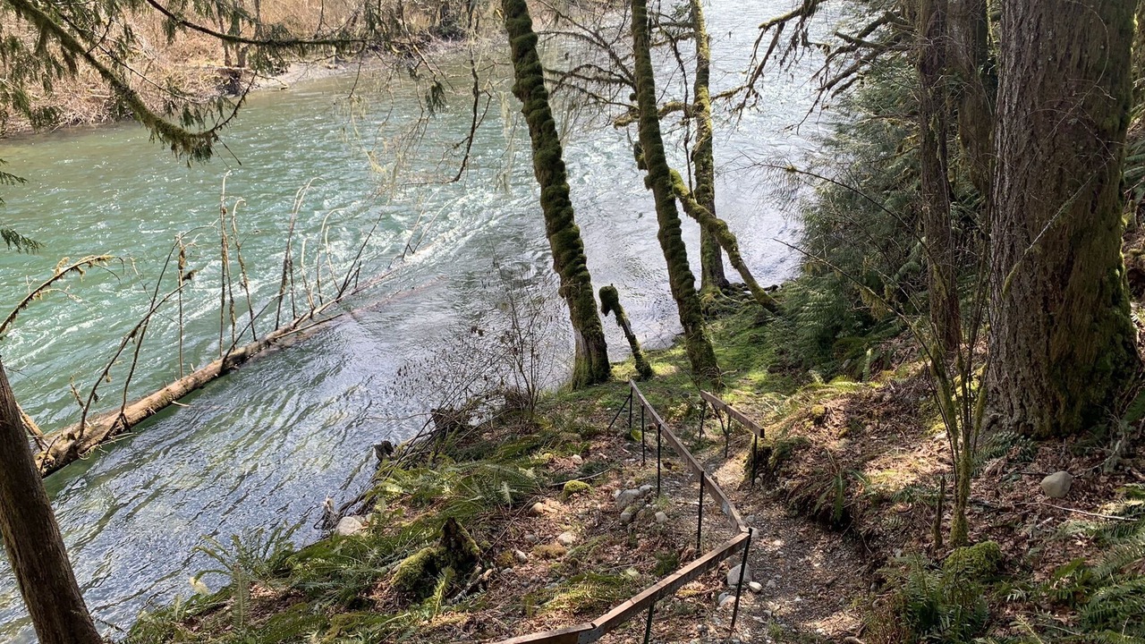 Photo of Outdoor in Lake Cowichan