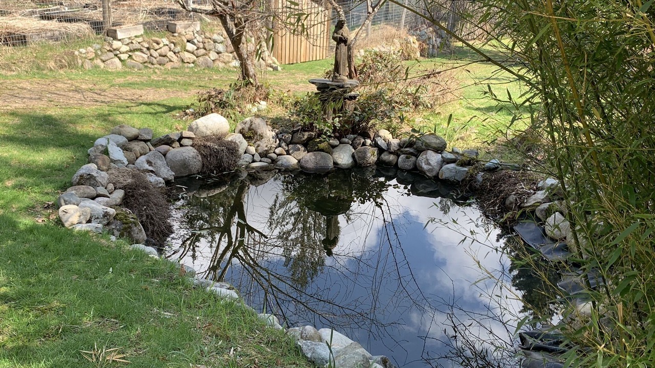 Photo of Outdoor in Lake Cowichan