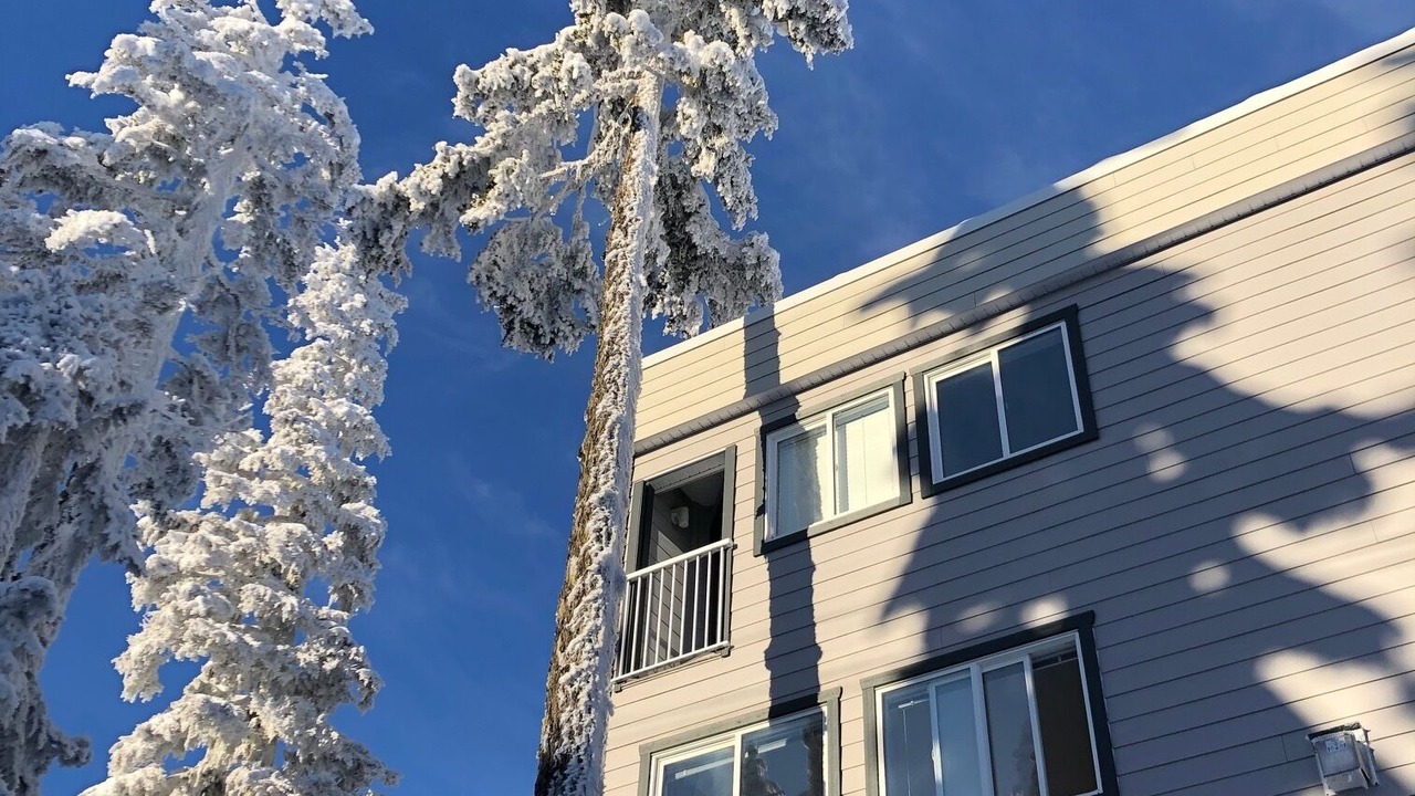 Photo of Outdoor in Courtenay