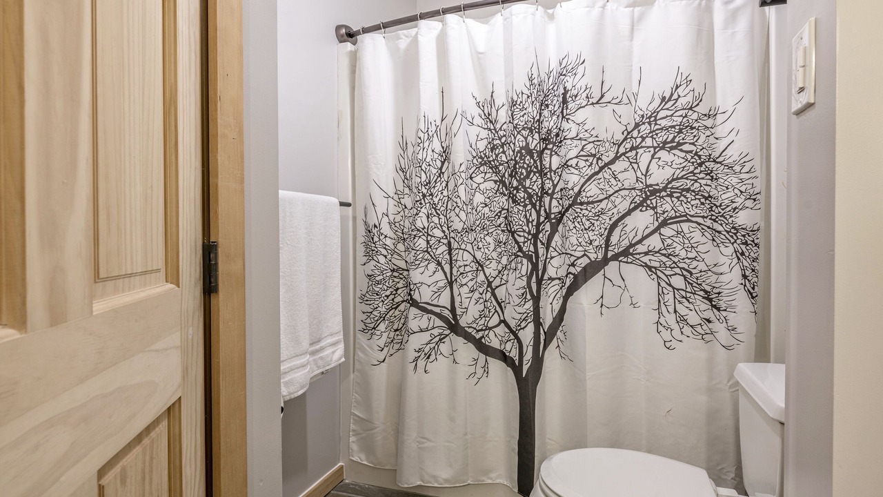Photo of Bathroom in Silver Star Mountain