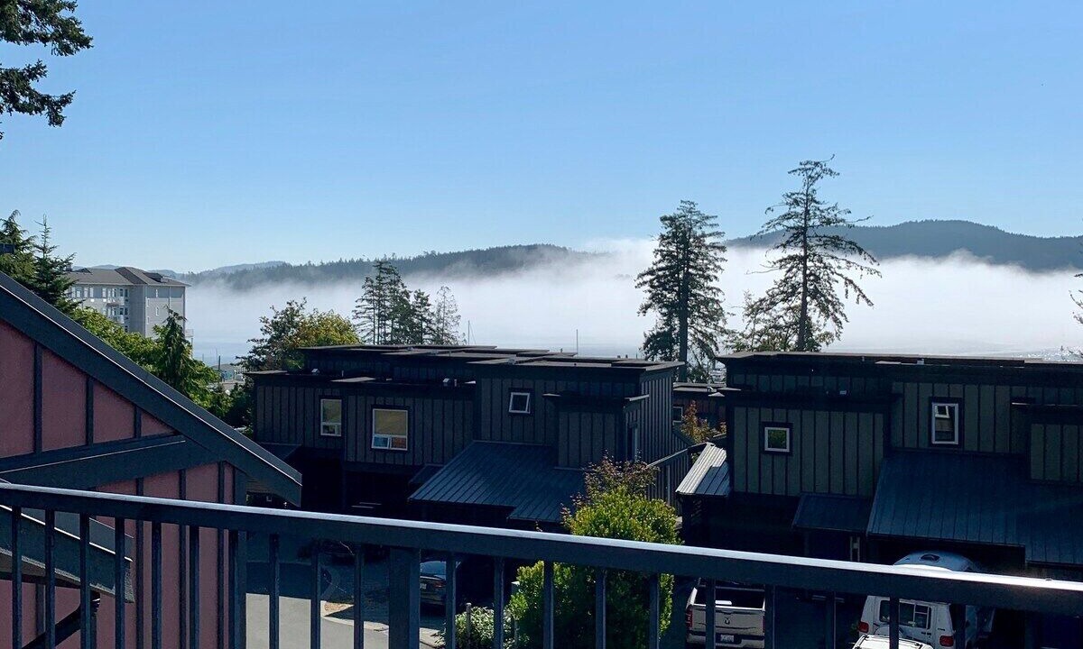 Photo of Others in Sooke