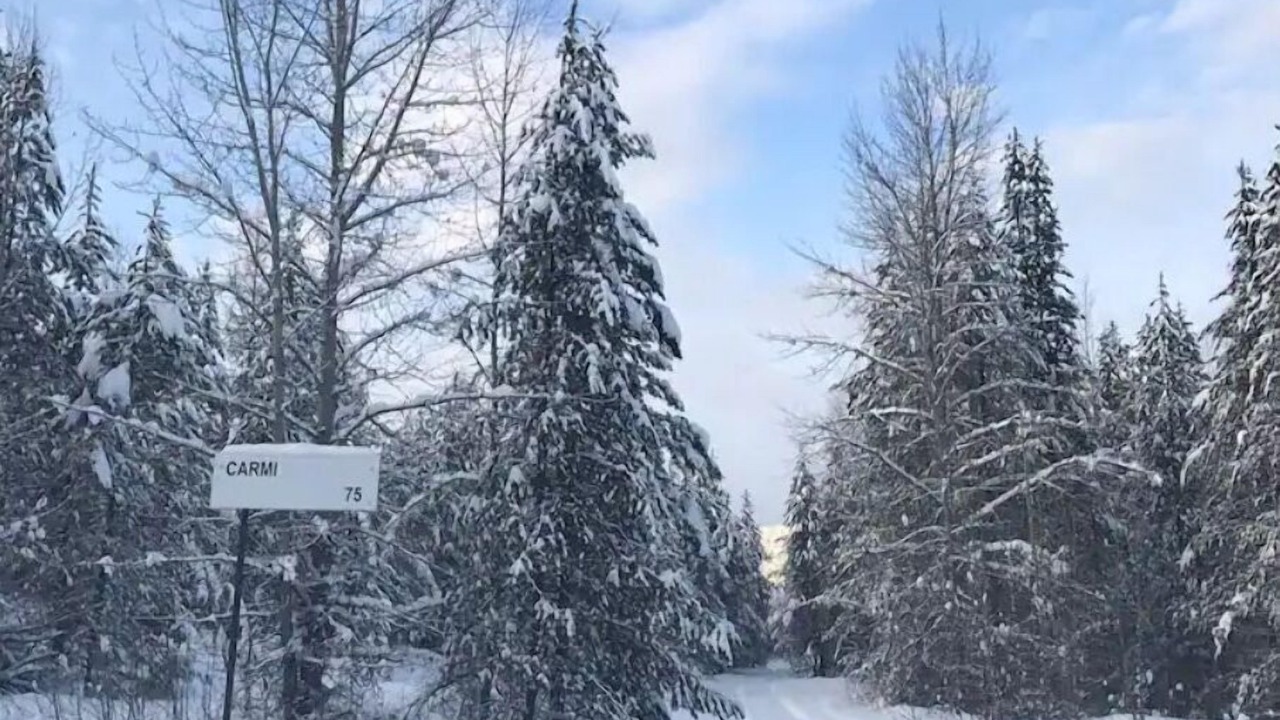 Photo of Outdoor in Beaverdell