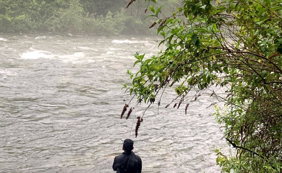 Photo of Others in West Vancouver