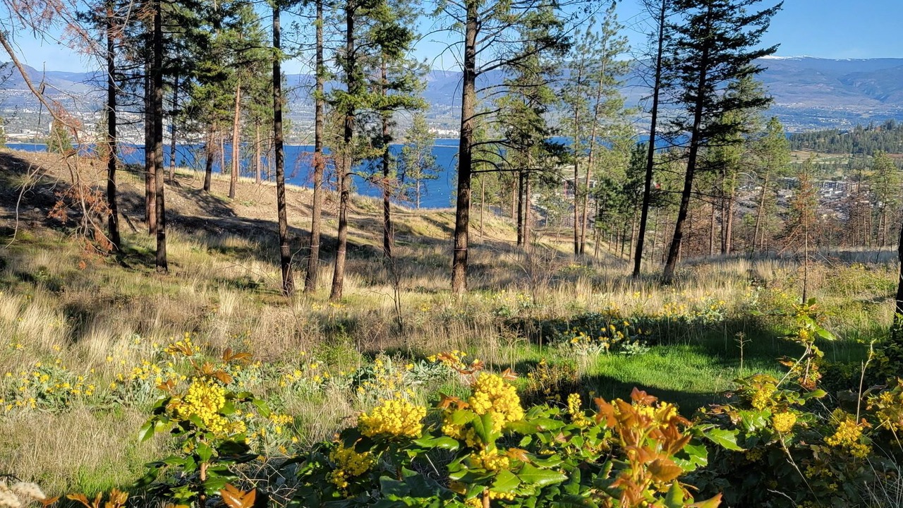 Photo of Others in West Kelowna Estates