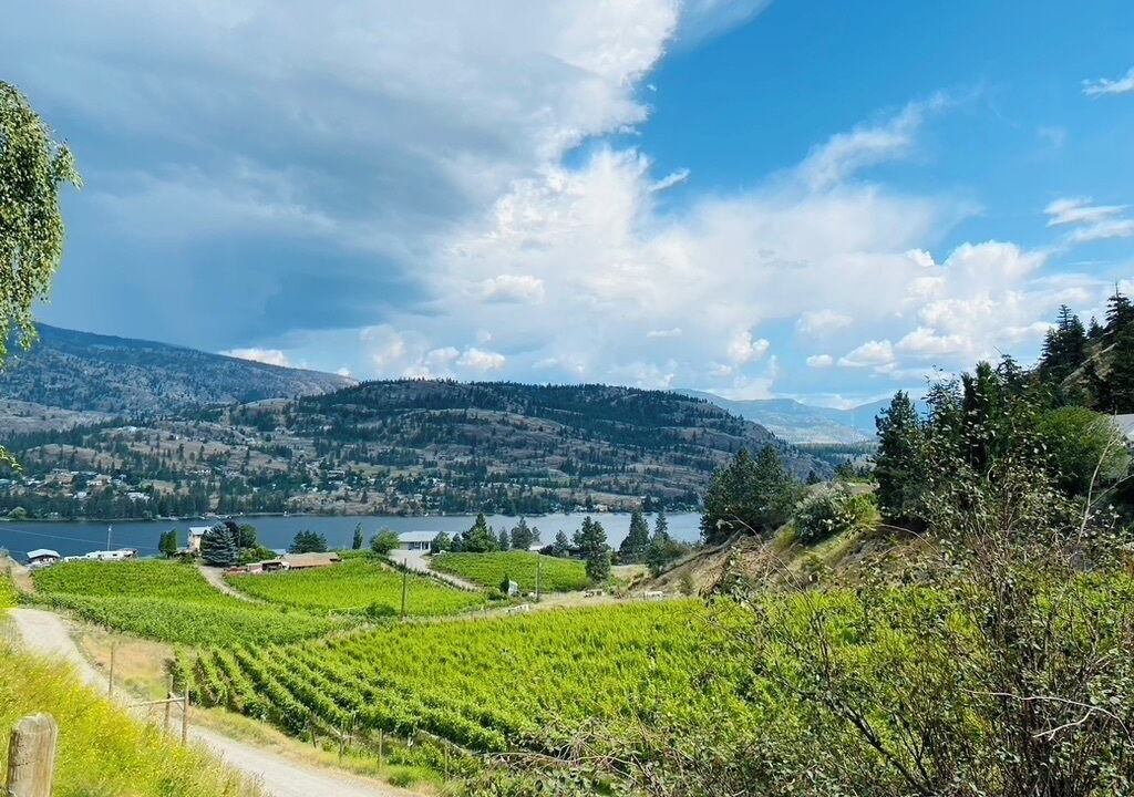 Photo of Others in Okanagan-Similkameen