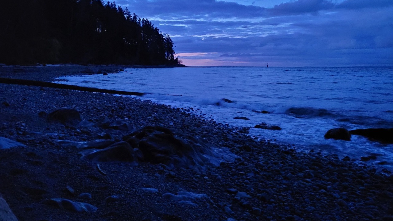 Photo of Others in Halfmoon Bay